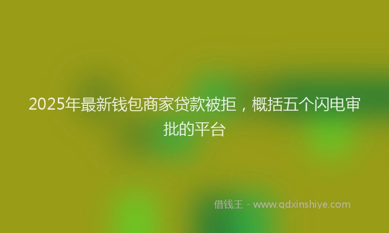 2025年最新钱包商家贷款被拒，概括五个闪电审批的平台