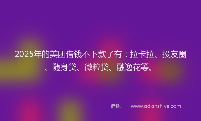 2025年的美团借钱不下款了有：拉卡拉、投友圈、随身贷、微粒贷、融逸花等。