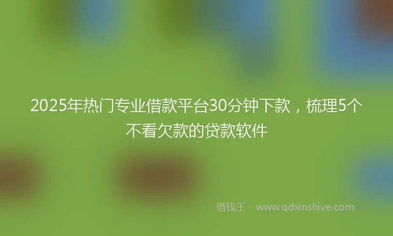 2025年热门专业借款平台30分钟下款，梳理5个不看欠款的贷款软件