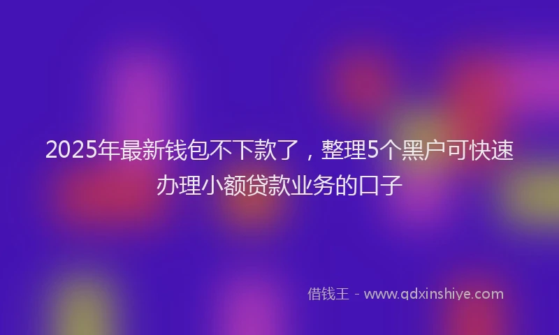 2025年最新钱包不下款了，整理5个黑户可快速办理小额贷款业务的口子