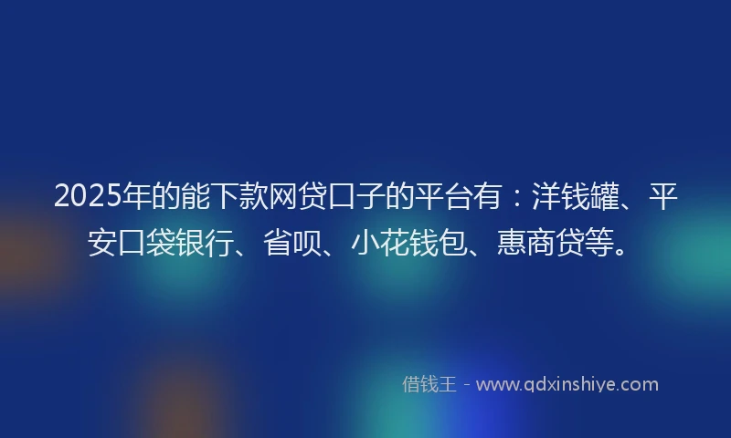 2025年的能下款网贷口子的平台有：洋钱罐、平安口袋银行、省呗、小花钱包、惠商贷等。