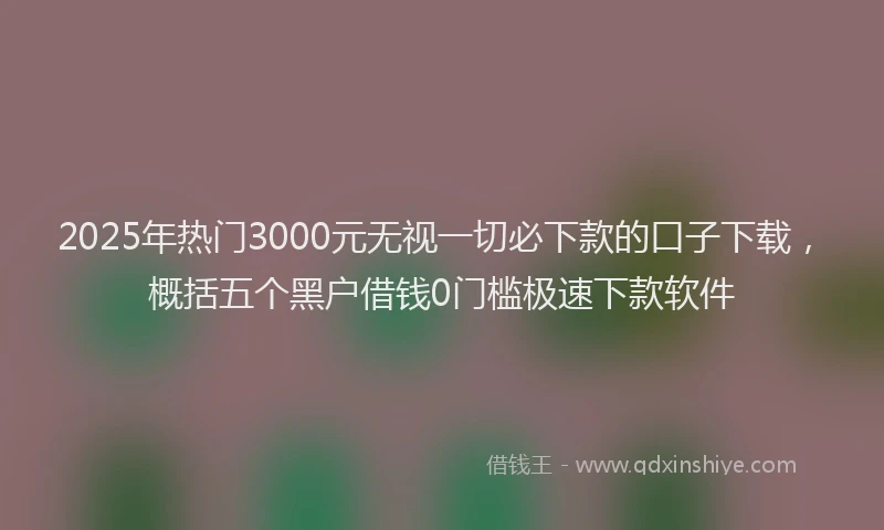 2025年热门3000元无视一切必下款的口子下载，概括五个黑户借钱0门槛极速下款软件