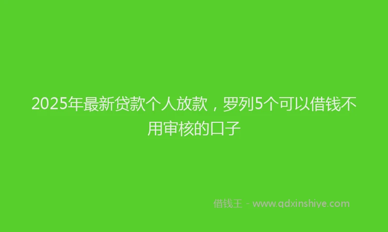 2025年最新贷款个人放款，罗列5个可以借钱不用审核的口子