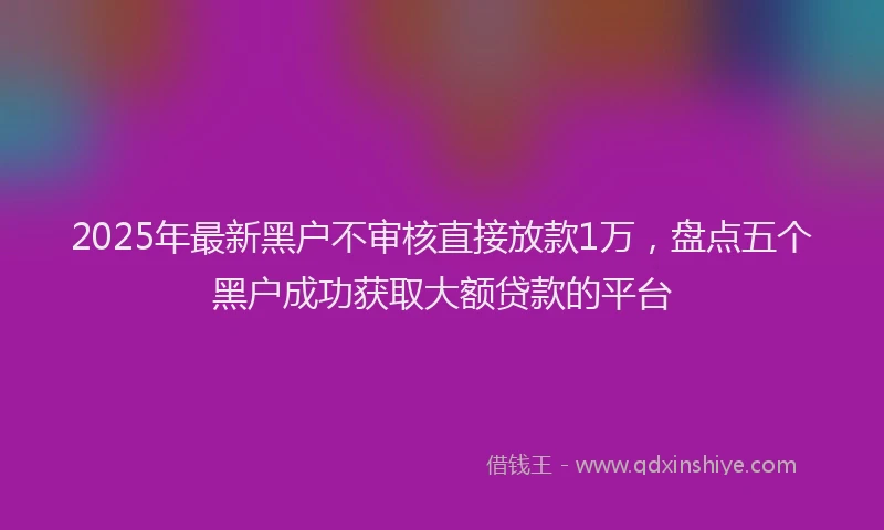 2025年最新黑户不审核直接放款1万，盘点五个黑户成功获取大额贷款的平台