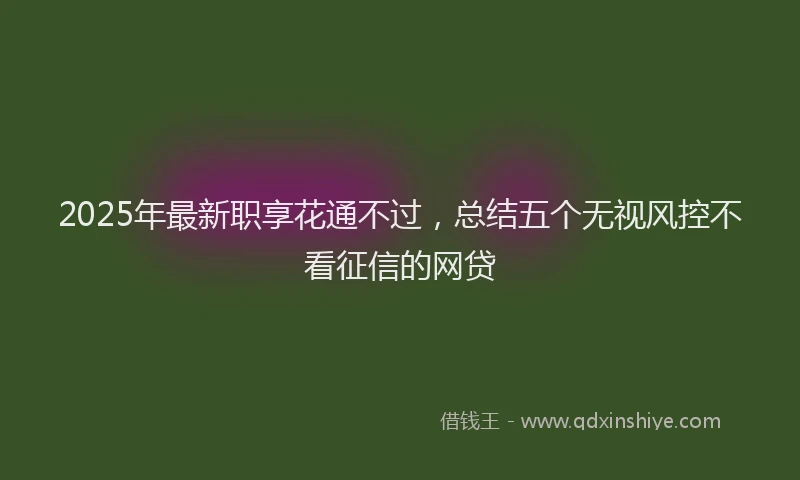 2025年最新职享花通不过，总结五个无视风控不看征信的网贷