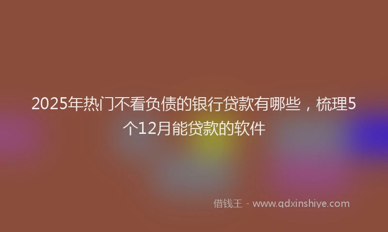 2025年热门不看负债的银行贷款有哪些，梳理5个12月能贷款的软件