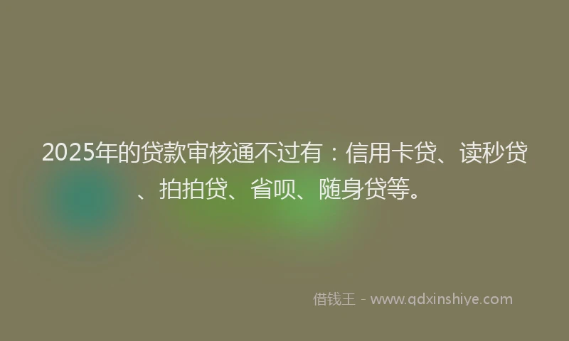 2025年的贷款审核通不过有：信用卡贷、读秒贷、拍拍贷、省呗、随身贷等。
