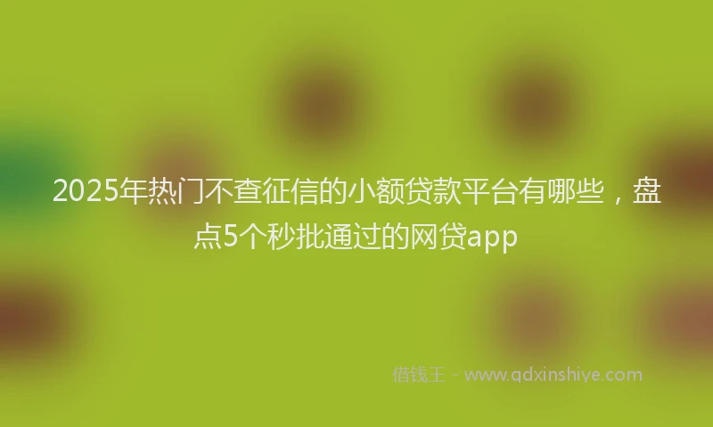 2025年热门不查征信的小额贷款平台有哪些，盘点5个秒批通过的网贷app