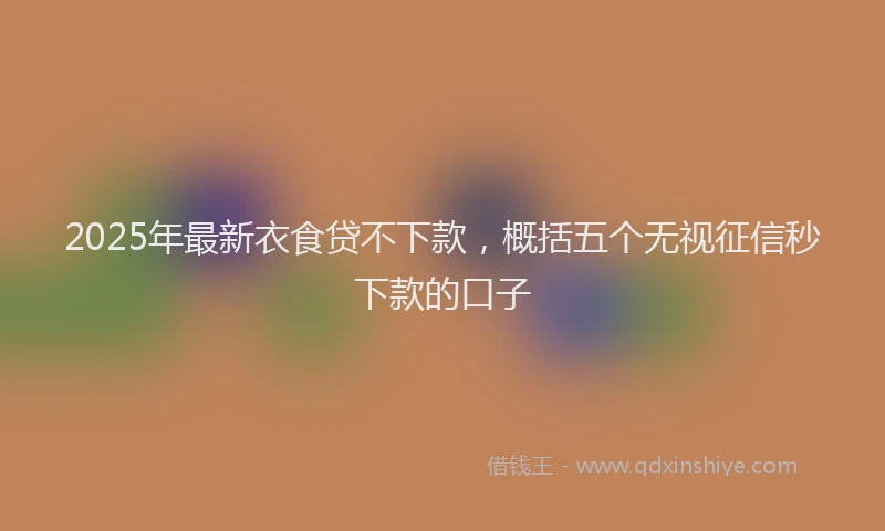 2025年最新衣食贷不下款，概括五个无视征信秒下款的口子
