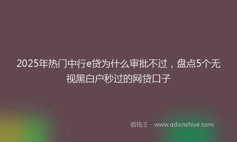 2025年热门中行e贷为什么审批不过，盘点5个无视黑白户秒过的网贷口子