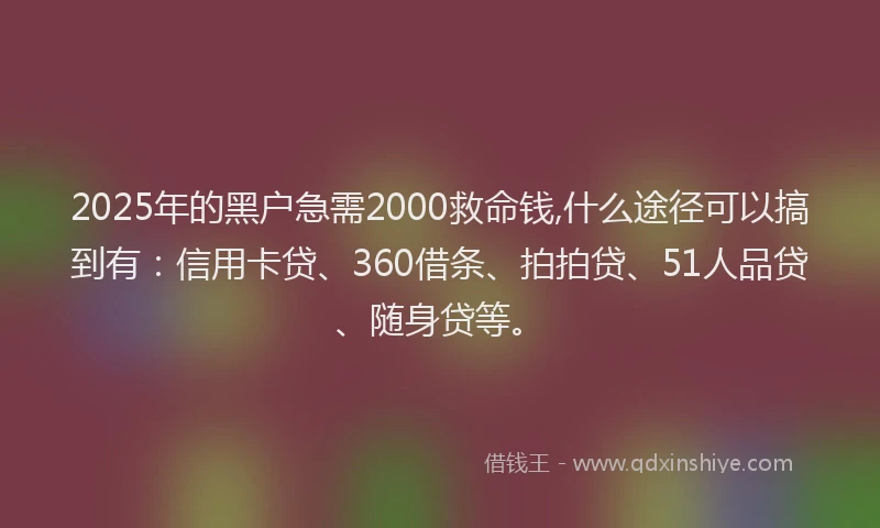 2025年的黑户急需2000救命钱,什么途径可以搞到有：信用卡贷、360借条、拍拍贷、51人品贷、随身贷等。