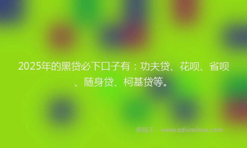 2025年的黑贷必下口子有：功夫贷、花呗、省呗、随身贷、柯基贷等。