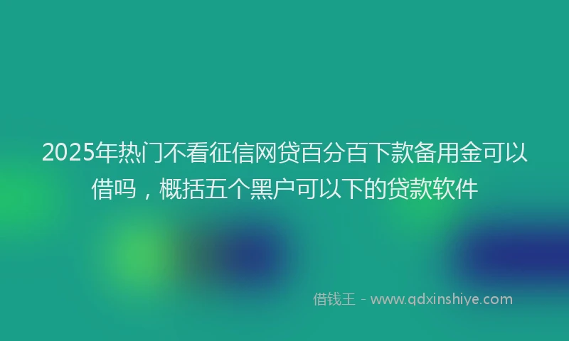 2025年热门不看征信网贷百分百下款备用金可以借吗，概括五个黑户可以下的贷款软件