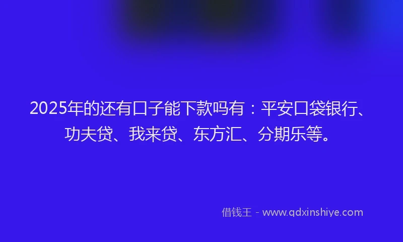 2025年的还有口子能下款吗有：平安口袋银行、功夫贷、我来贷、东方汇、分期乐等。