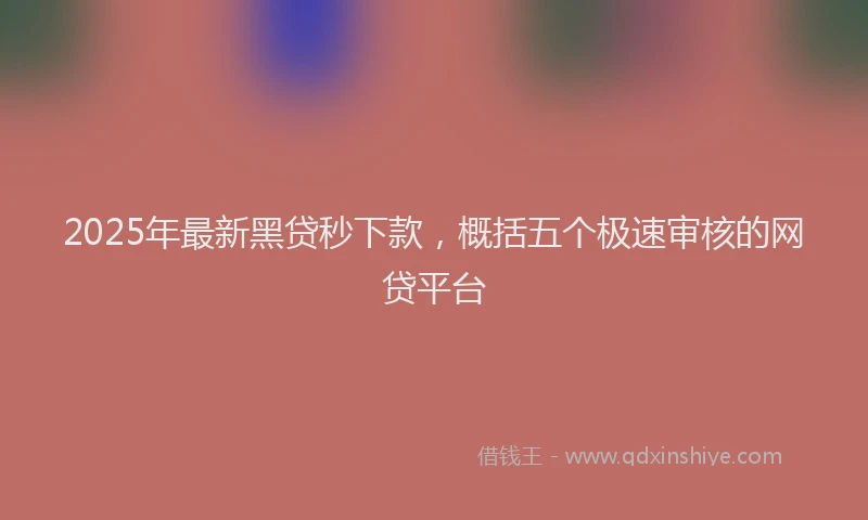 2025年最新黑贷秒下款，概括五个极速审核的网贷平台