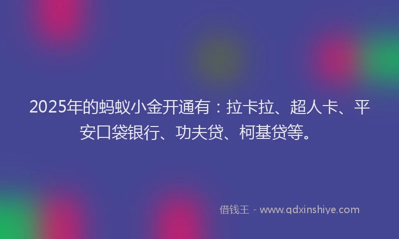 2025年的蚂蚁小金开通有：拉卡拉、超人卡、平安口袋银行、功夫贷、柯基贷等。