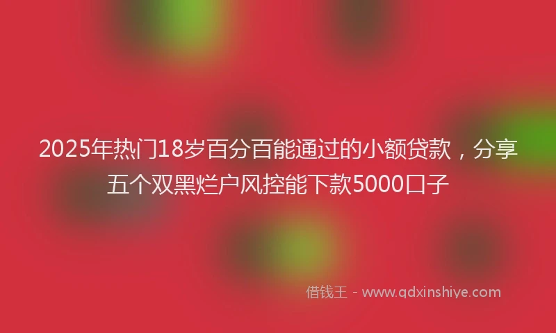 2025年热门18岁百分百能通过的小额贷款，分享五个双黑烂户风控能下款5000口子
