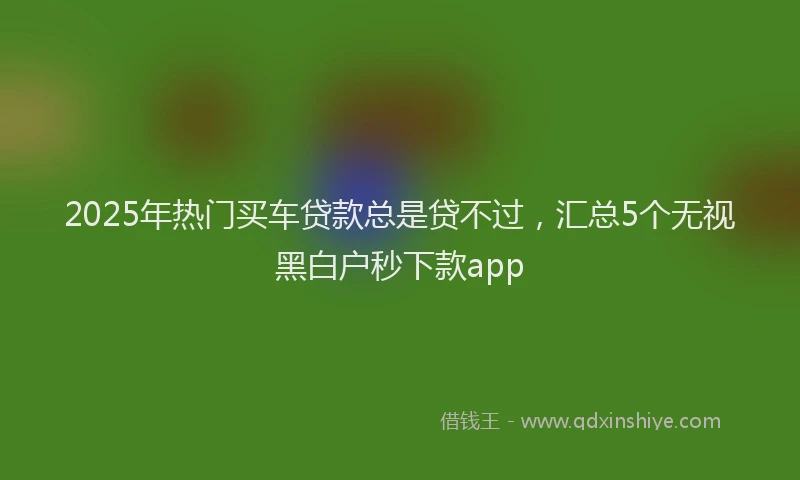 2025年热门买车贷款总是贷不过，汇总5个无视黑白户秒下款app
