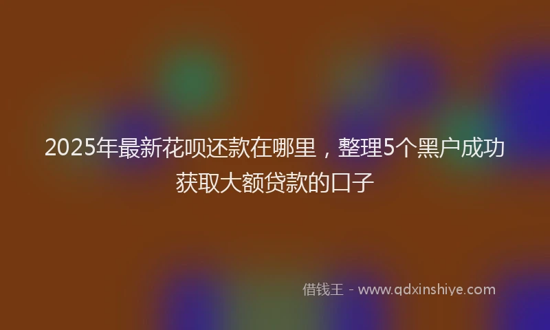 2025年最新花呗还款在哪里，整理5个黑户成功获取大额贷款的口子