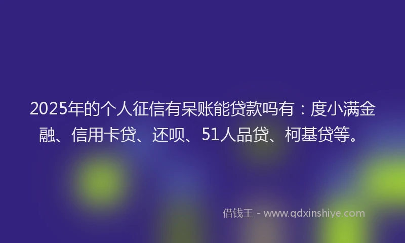 2025年的个人征信有呆账能贷款吗有：度小满金融、信用卡贷、还呗、51人品贷、柯基贷等。