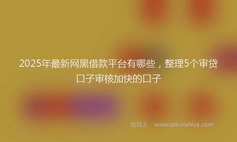 2025年最新网黑借款平台有哪些，整理5个审贷口子审核加快的口子