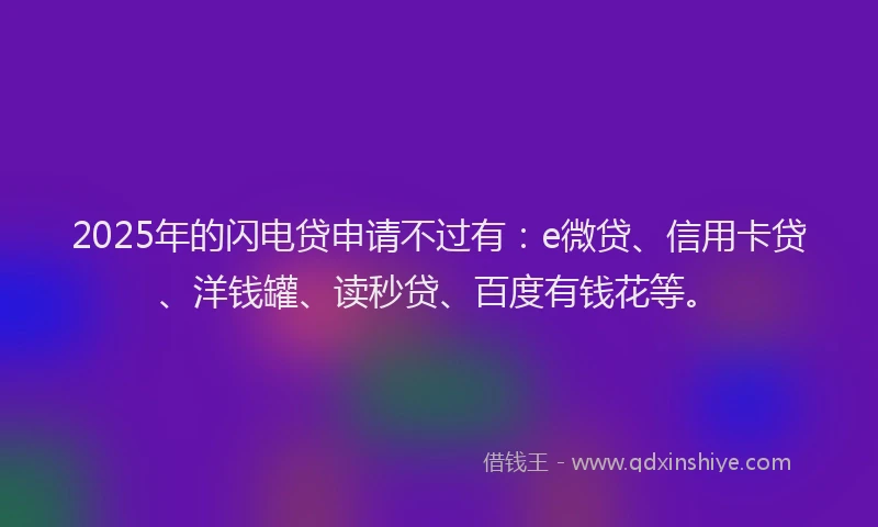 2025年的闪电贷申请不过有：e微贷、信用卡贷、洋钱罐、读秒贷、百度有钱花等。