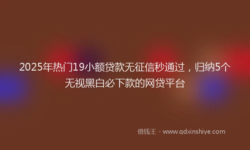 2025年热门19小额贷款无征信秒通过，归纳5个无视黑白必下款的网贷平台