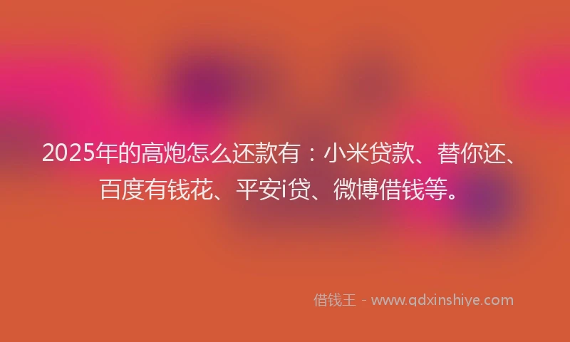 2025年的高炮怎么还款有：小米贷款、替你还、百度有钱花、平安i贷、微博借钱等。