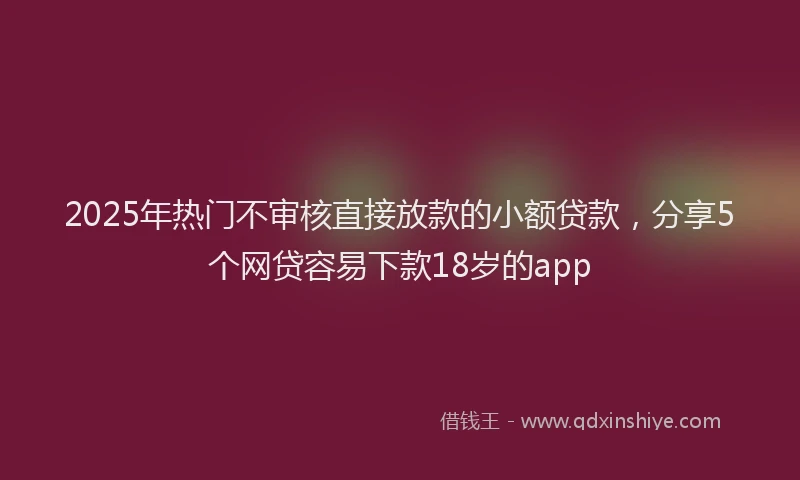 2025年热门不审核直接放款的小额贷款，分享5个网贷容易下款18岁的app