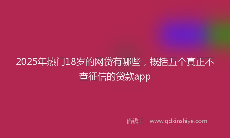 2025年热门18岁的网贷有哪些，概括五个真正不查征信的贷款app