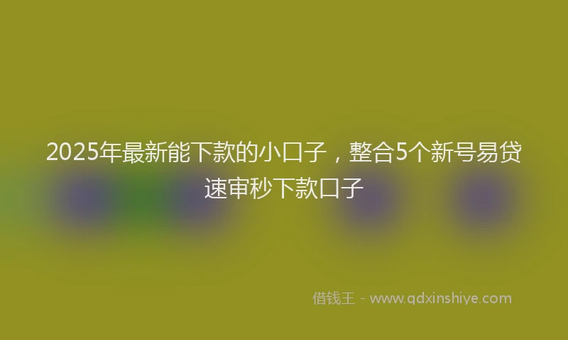 2025年最新能下款的小口子，整合5个新号易贷速审秒下款口子