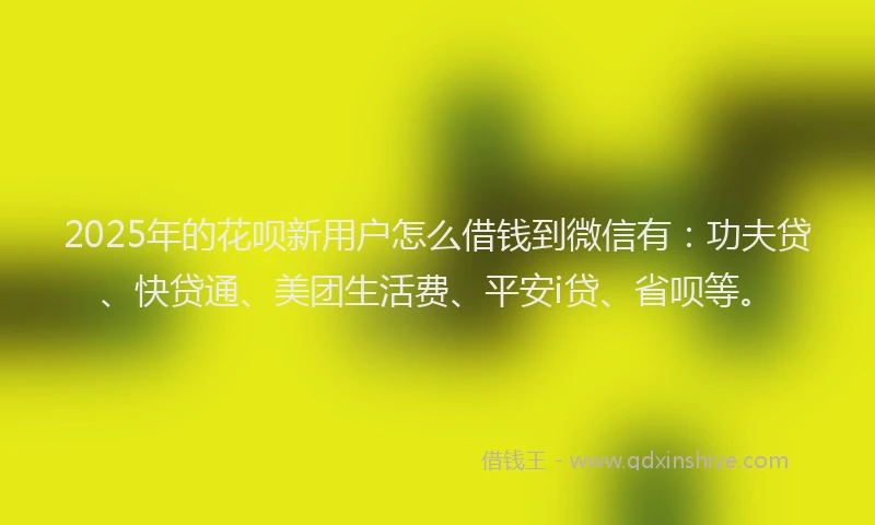 2025年的花呗新用户怎么借钱到微信有：功夫贷、快贷通、美团生活费、平安i贷、省呗等。