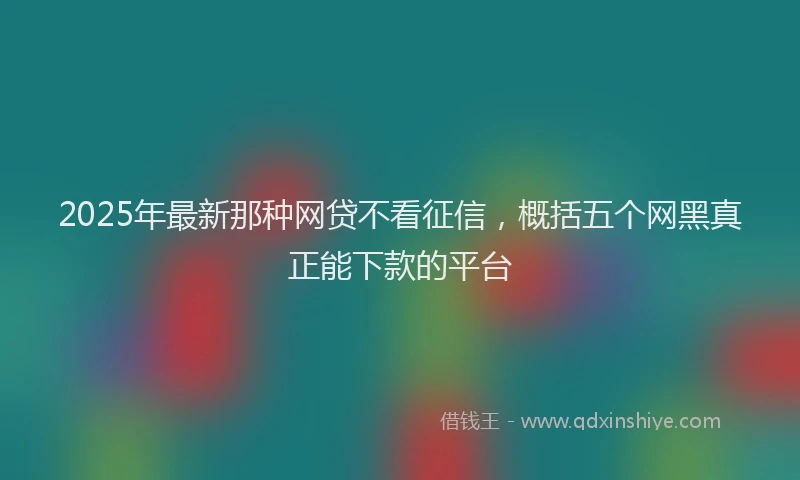 2025年最新那种网贷不看征信，概括五个网黑真正能下款的平台
