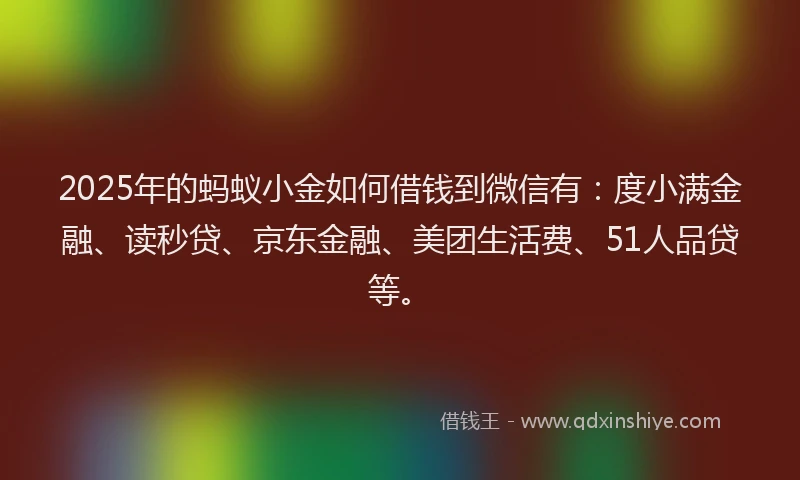2025年的蚂蚁小金如何借钱到微信有：度小满金融、读秒贷、京东金融、美团生活费、51人品贷等。