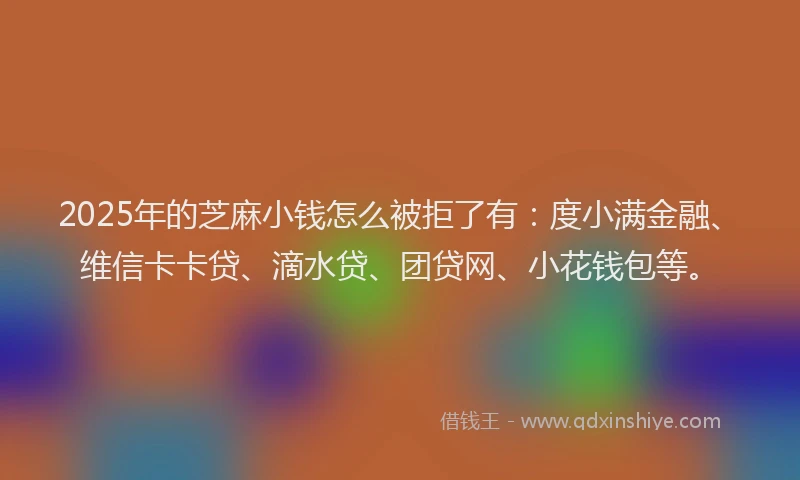 2025年的芝麻小钱怎么被拒了有：度小满金融、维信卡卡贷、滴水贷、团贷网、小花钱包等。