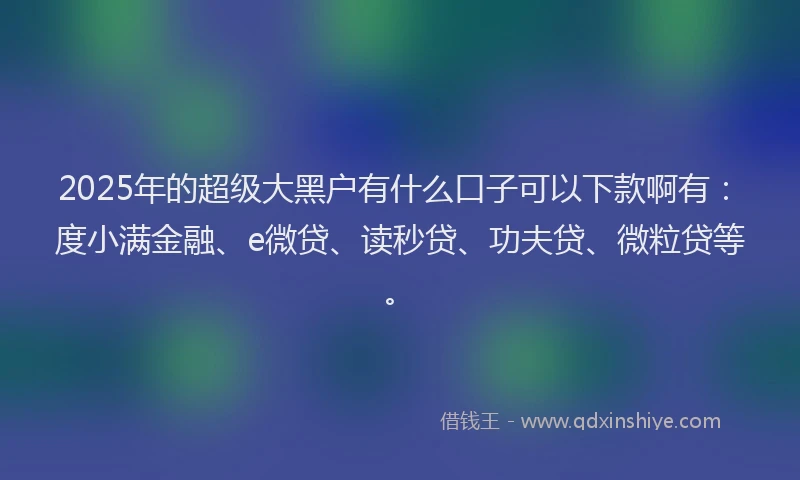 2025年的超级大黑户有什么口子可以下款啊有：度小满金融、e微贷、读秒贷、功夫贷、微粒贷等。