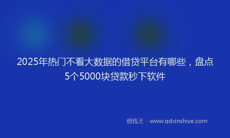 2025年热门不看大数据的借贷平台有哪些，盘点5个5000块贷款秒下软件