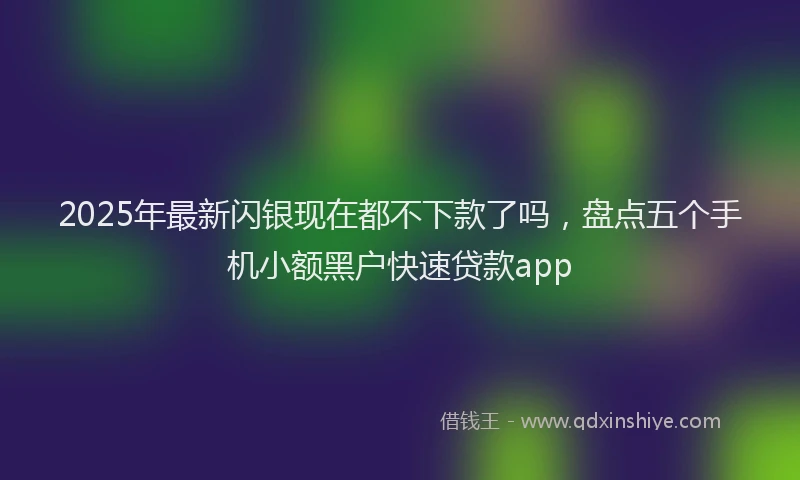 2025年最新闪银现在都不下款了吗，盘点五个手机小额黑户快速贷款app
