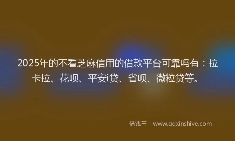 2025年的不看芝麻信用的借款平台可靠吗有：拉卡拉、花呗、平安i贷、省呗、微粒贷等。