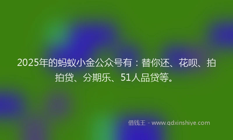 2025年的蚂蚁小金公众号有：替你还、花呗、拍拍贷、分期乐、51人品贷等。