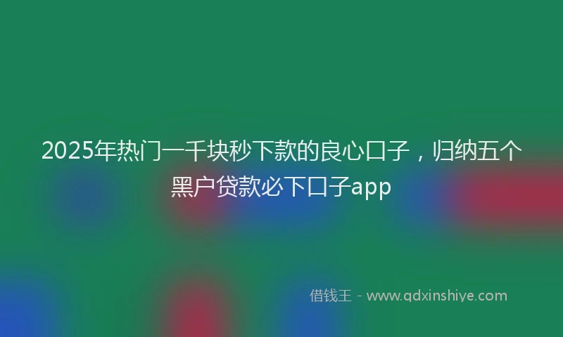2025年热门一千块秒下款的良心口子，归纳五个黑户贷款必下口子app