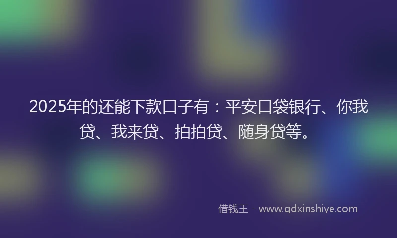 2025年的还能下款口子有：平安口袋银行、你我贷、我来贷、拍拍贷、随身贷等。