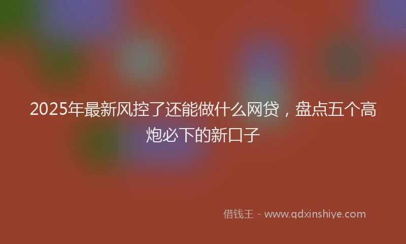 2025年最新风控了还能做什么网贷，盘点五个高炮必下的新口子