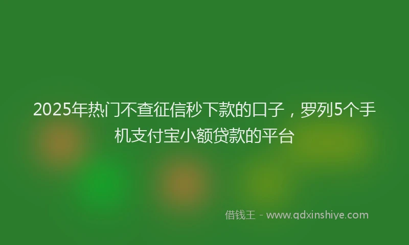 2025年热门不查征信秒下款的口子，罗列5个手机支付宝小额贷款的平台
