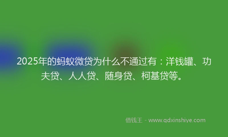 2025年的蚂蚁微贷为什么不通过有：洋钱罐、功夫贷、人人贷、随身贷、柯基贷等。