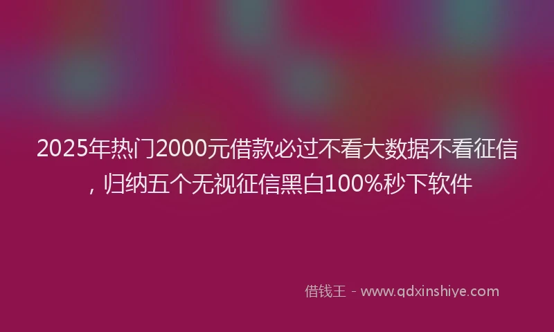 2025年热门2000元借款必过不看大数据不看征信，归纳五个无视征信黑白100%秒下软件