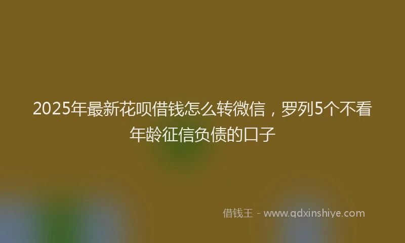 2025年最新花呗借钱怎么转微信，罗列5个不看年龄征信负债的口子