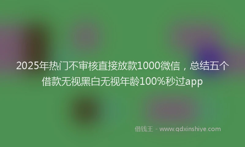 2025年热门不审核直接放款1000微信，总结五个借款无视黑白无视年龄100%秒过app