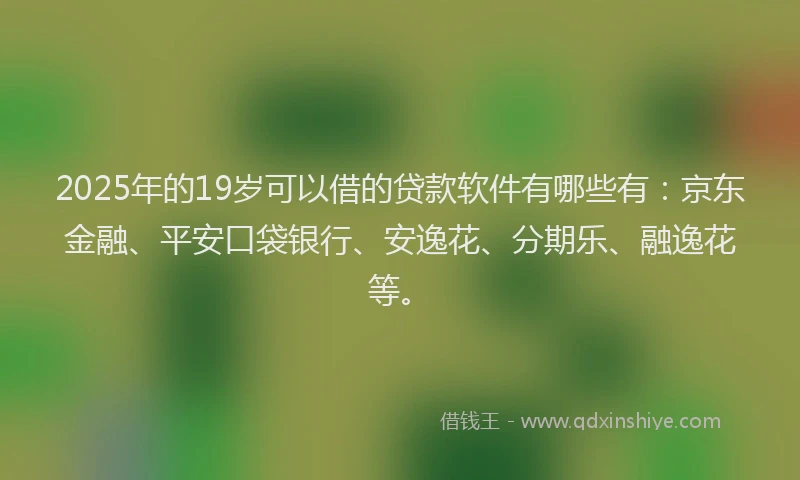 2025年的19岁可以借的贷款软件有哪些有：京东金融、平安口袋银行、安逸花、分期乐、融逸花等。