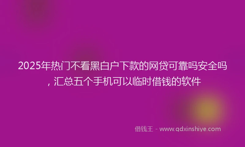 2025年热门不看黑白户下款的网贷可靠吗安全吗，汇总五个手机可以临时借钱的软件